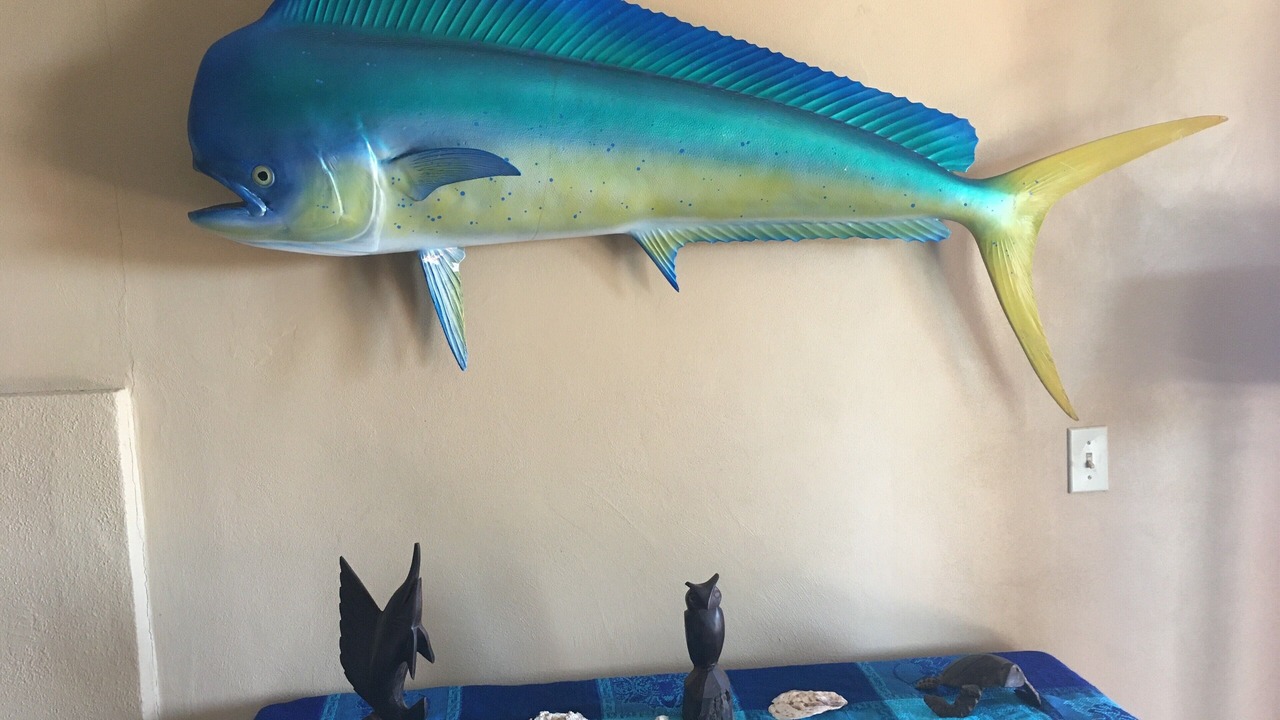 Photo of Bedroom in Cabo Pulmo