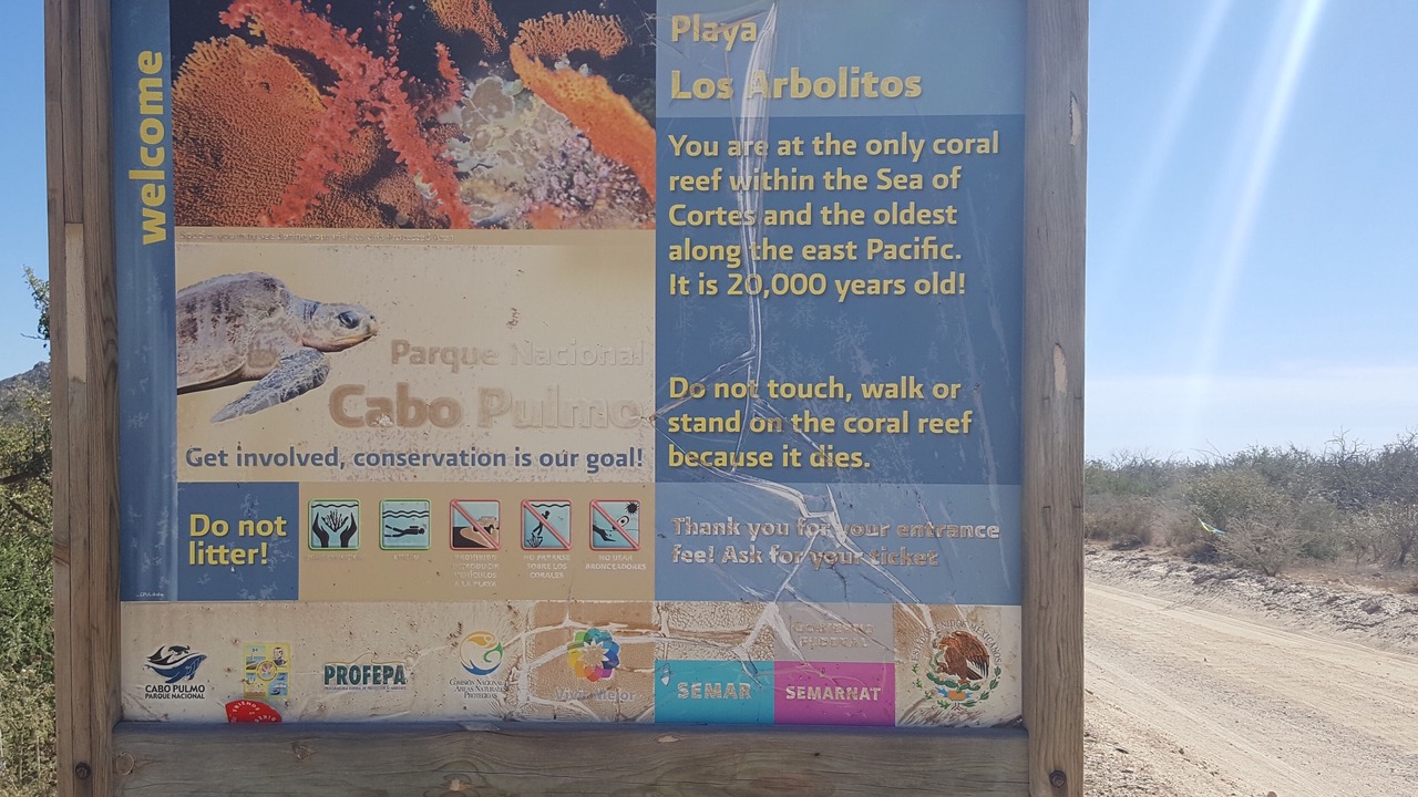 Photo of Outdoor in Cabo Pulmo