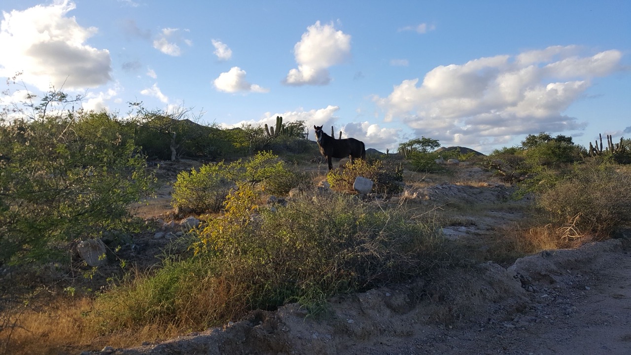 Photo of Outdoor in Cabo Pulmo