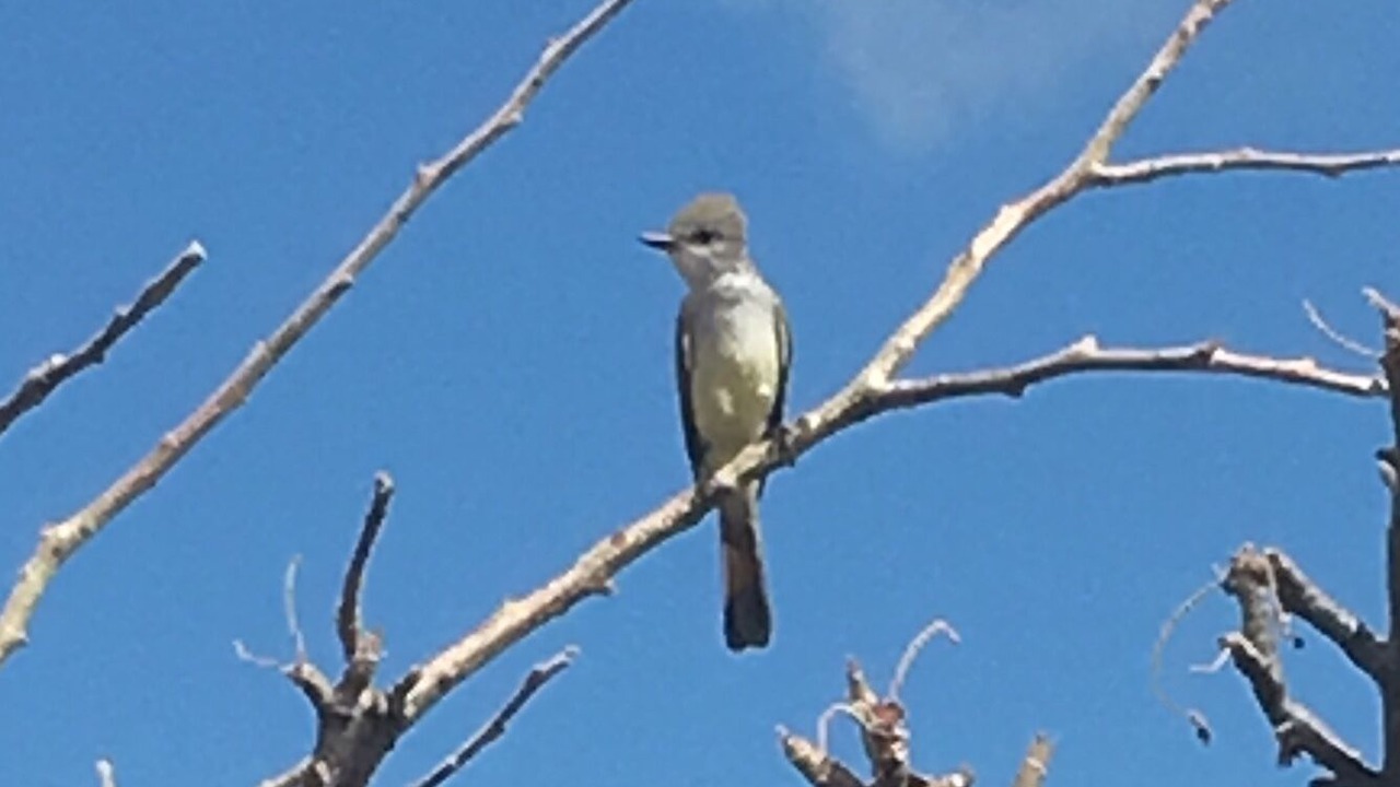 Photo of Others in Cabo Pulmo