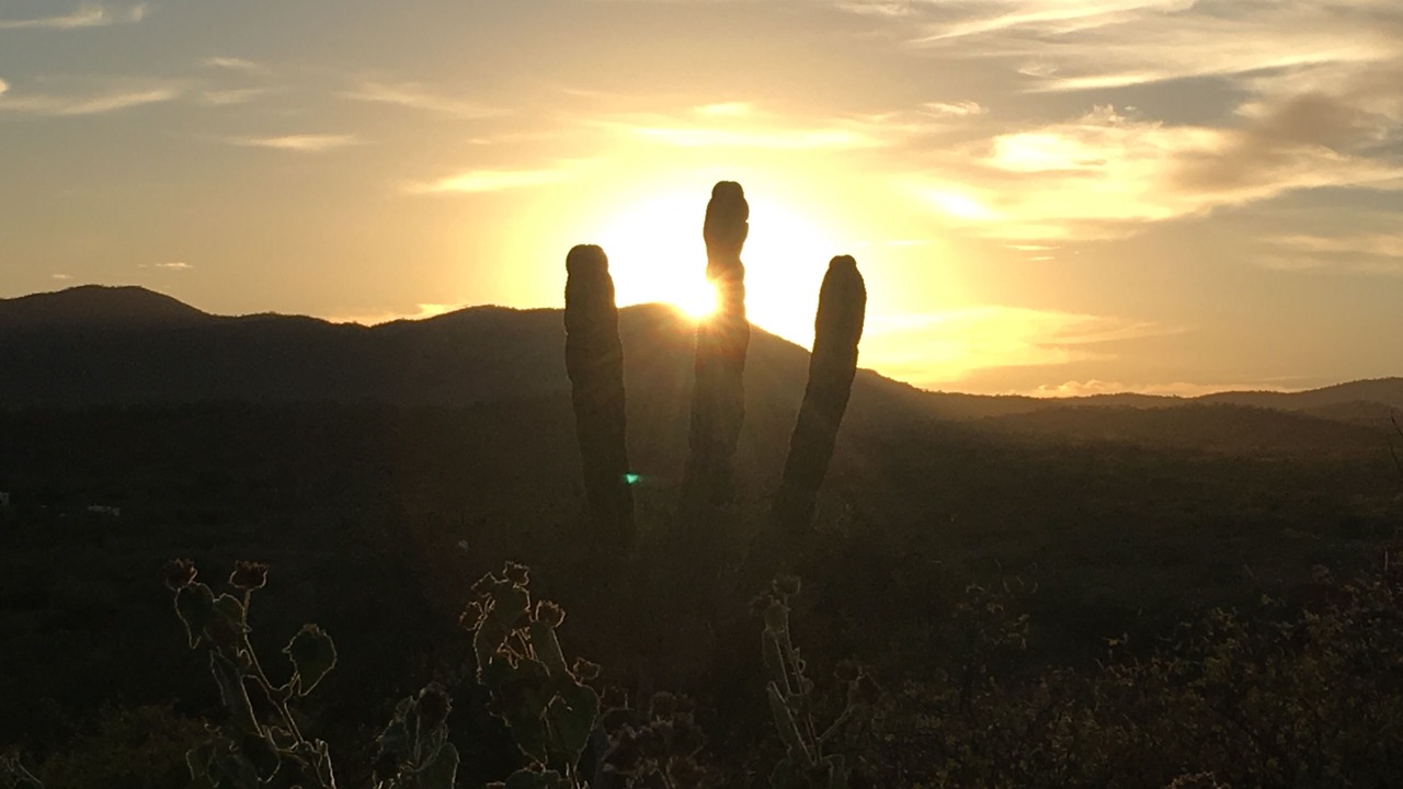 Photo of Others in Cabo Pulmo