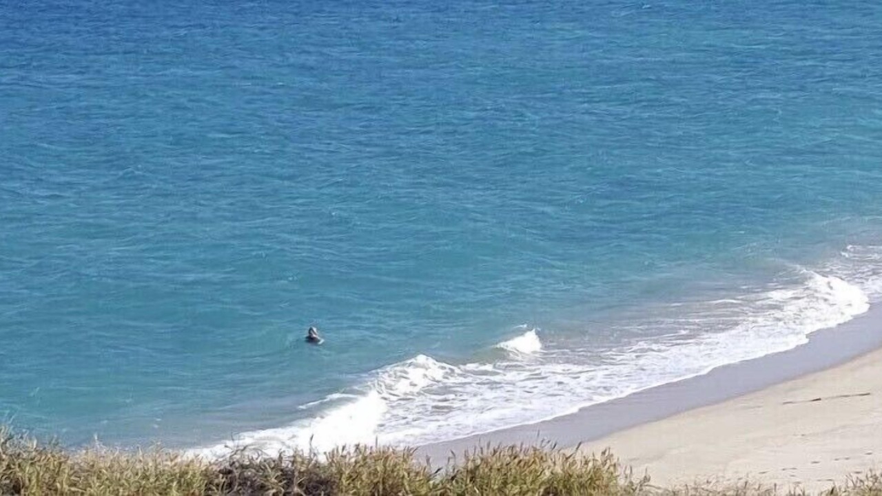 Photo of Others in Cabo Pulmo