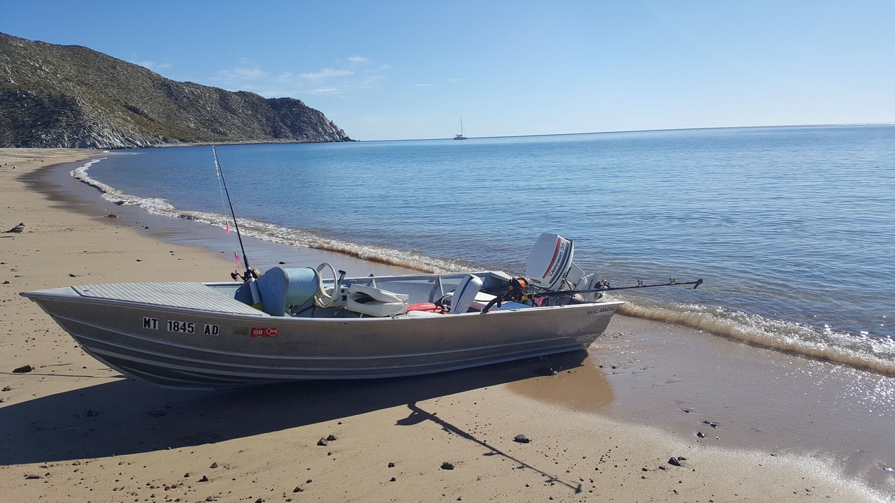 Photo of Others in Cabo Pulmo