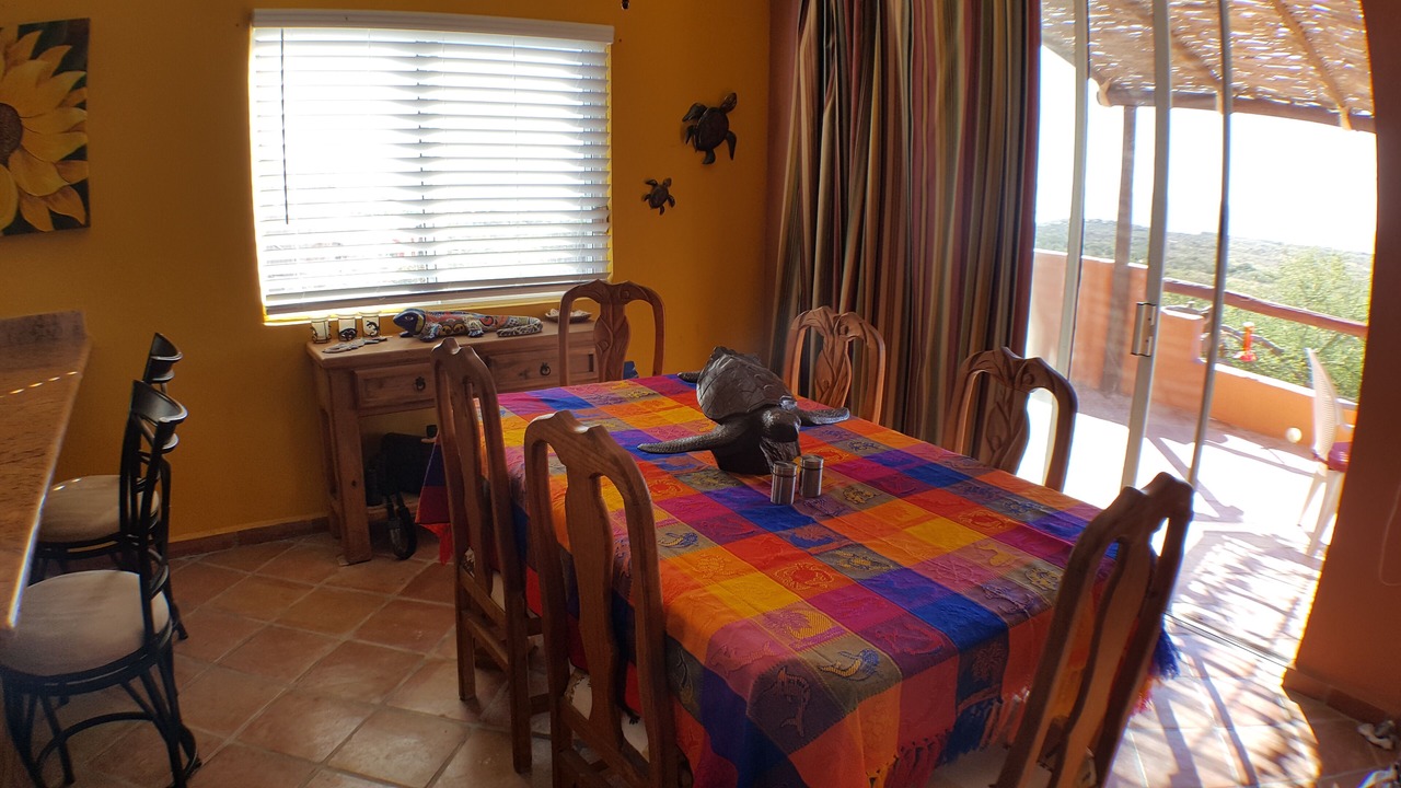 Photo of Others in Cabo Pulmo