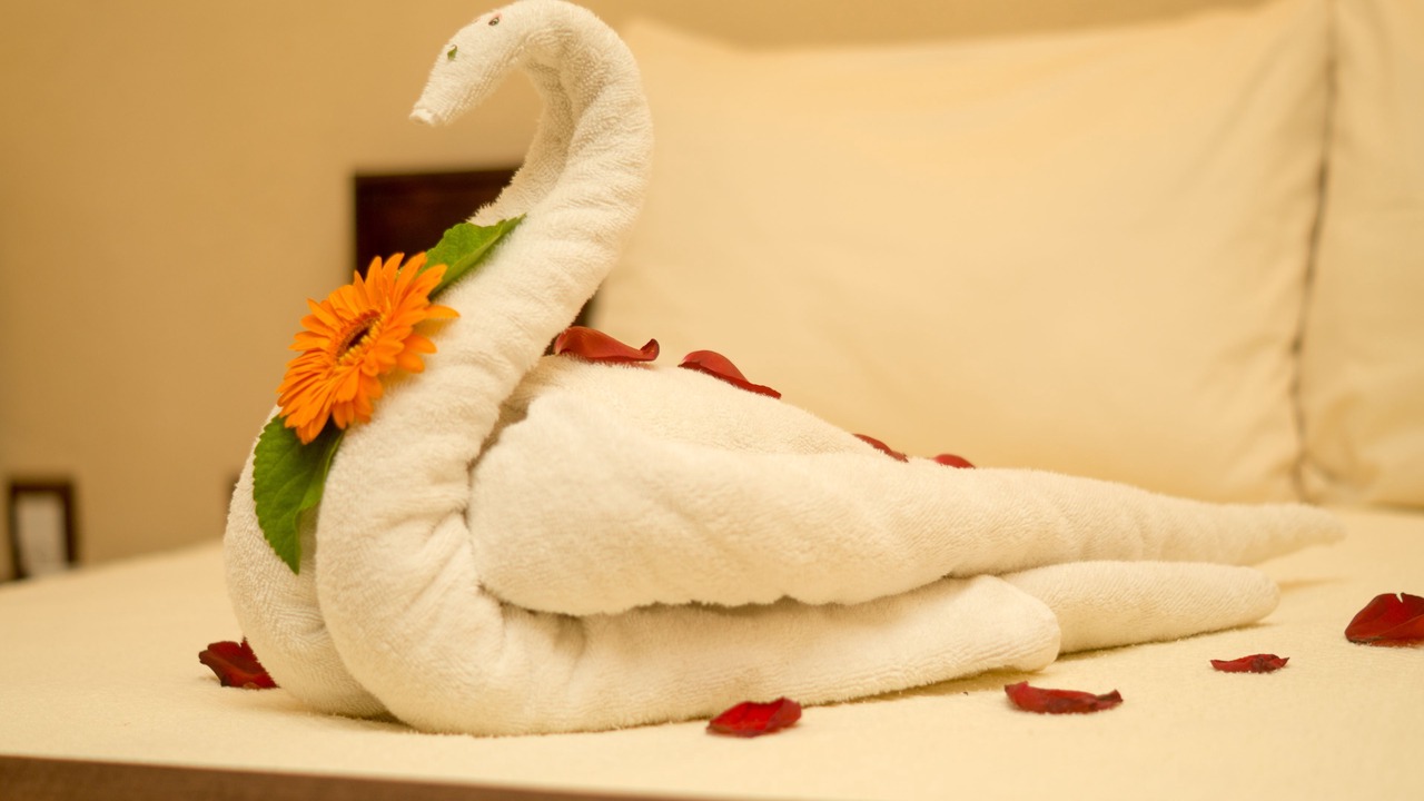 Photo of Outdoor in Playa la Madera