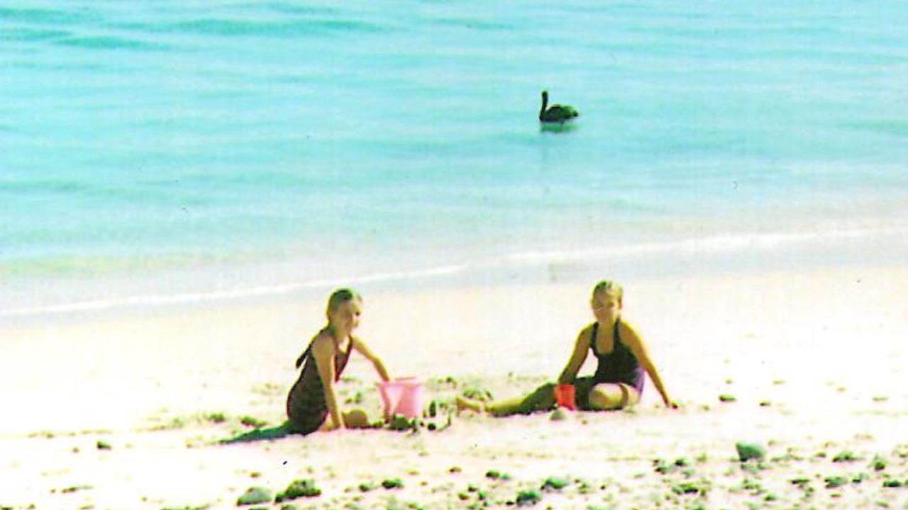 Photo of Others in Cabo Pulmo