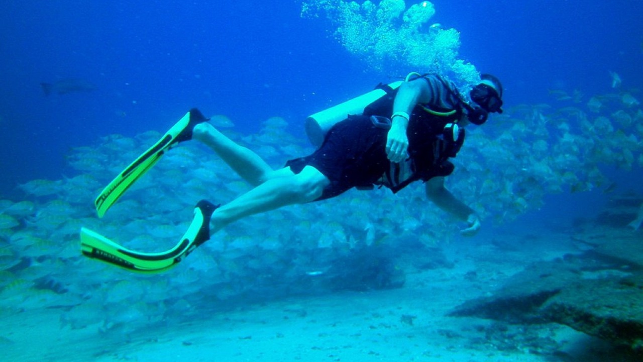 Photo of Others in Cabo Pulmo