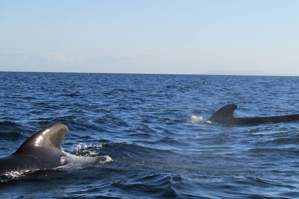 Photo of Others in Mexican Riviera