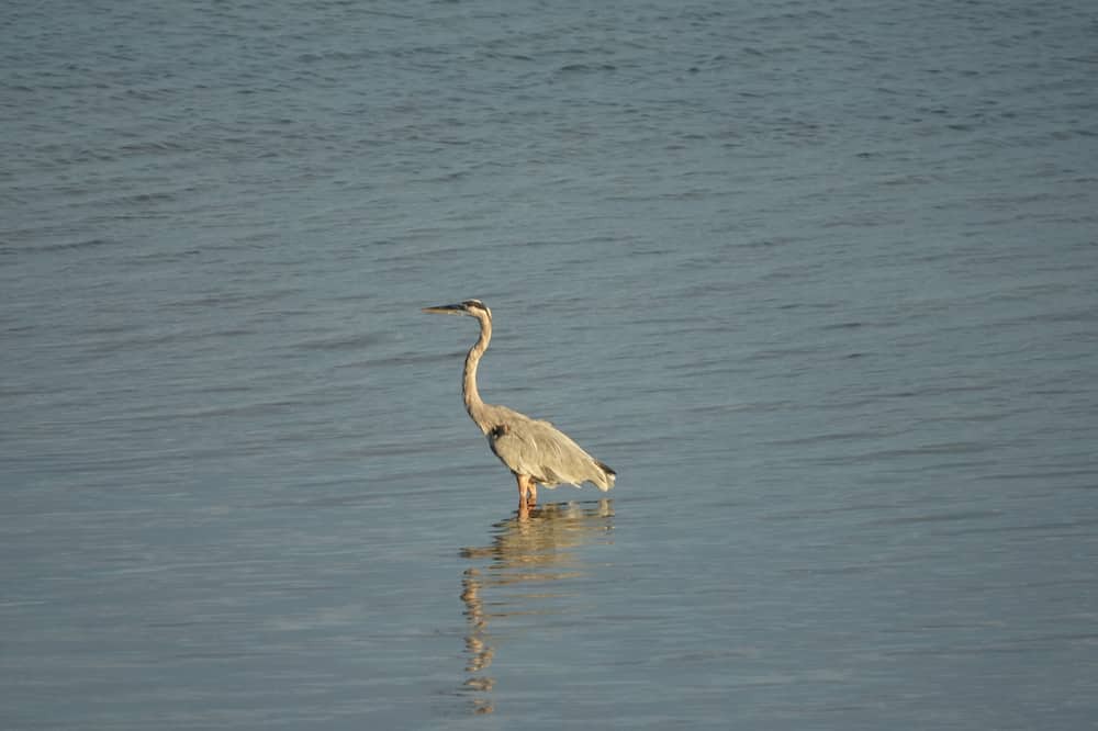 Photo of Others in Mexican Riviera