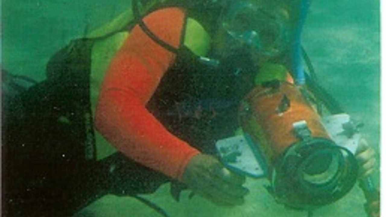 Photo of Others in Cabo Pulmo