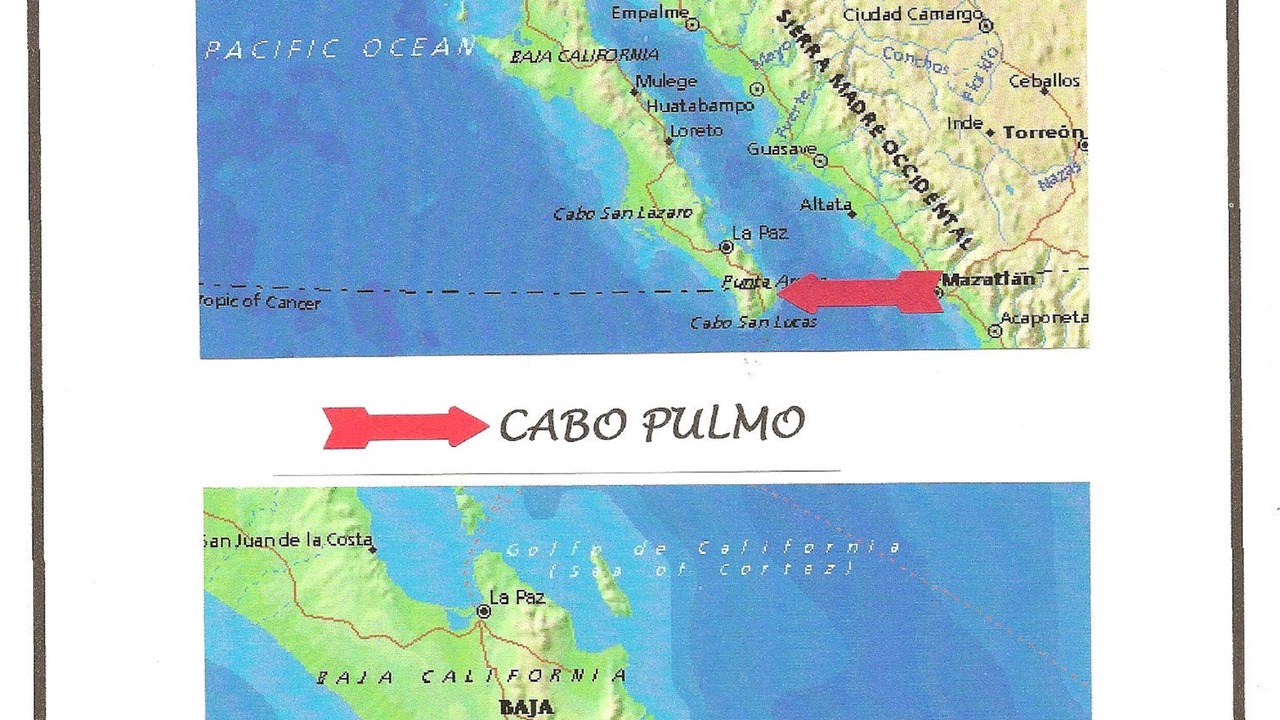Photo of Others in Cabo Pulmo
