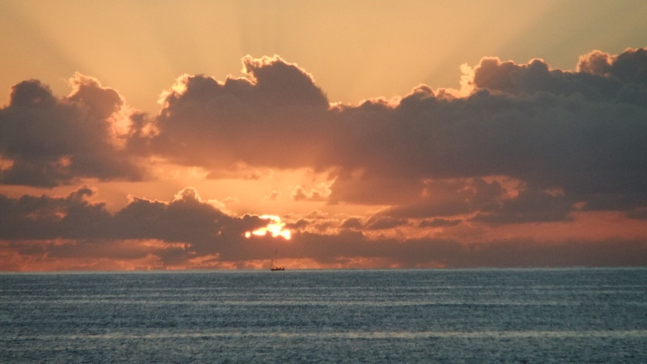Photo of Others in Cabo Pulmo