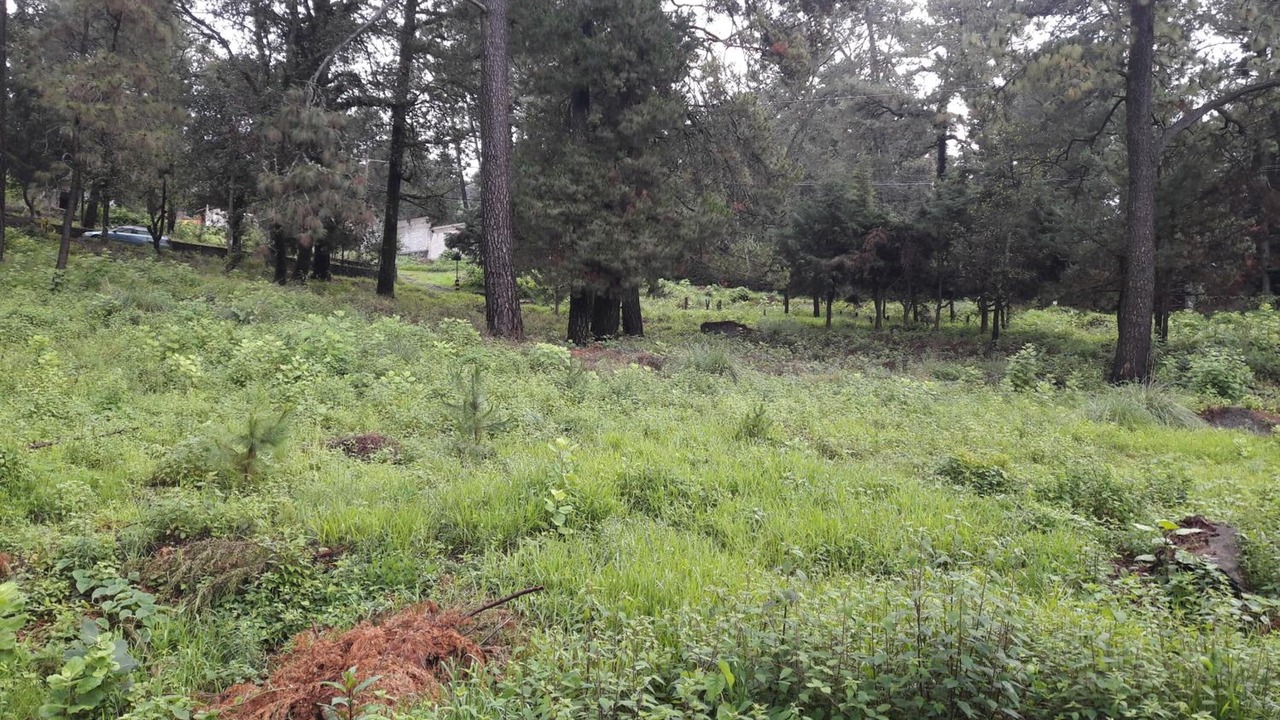 Photo of Outdoor in Santa Maria Ahuacatitlan