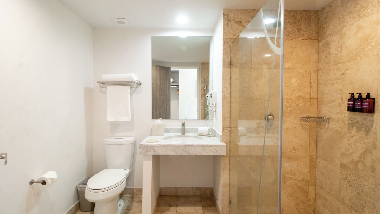 Photo of Bathroom in Chapala