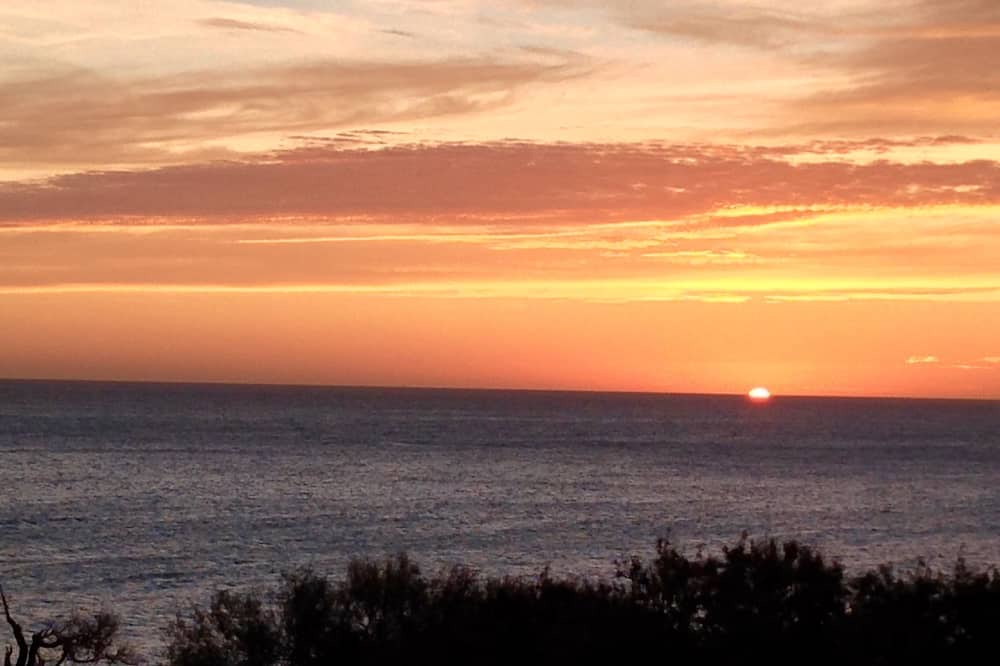 Photo of Others in Cabo Pulmo