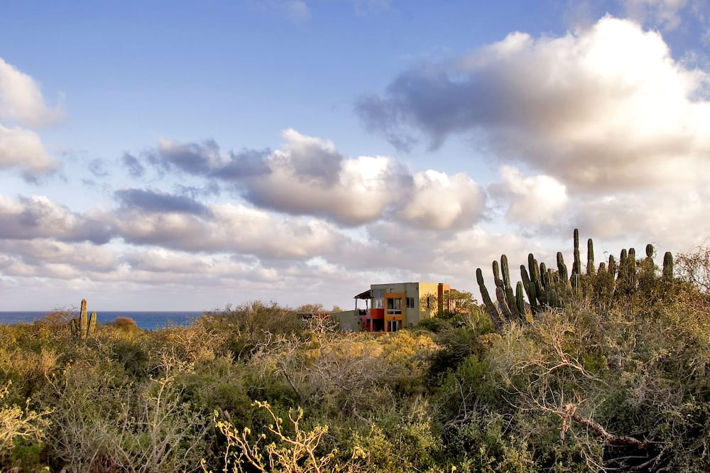 Photo of Outdoor in Cabo Pulmo