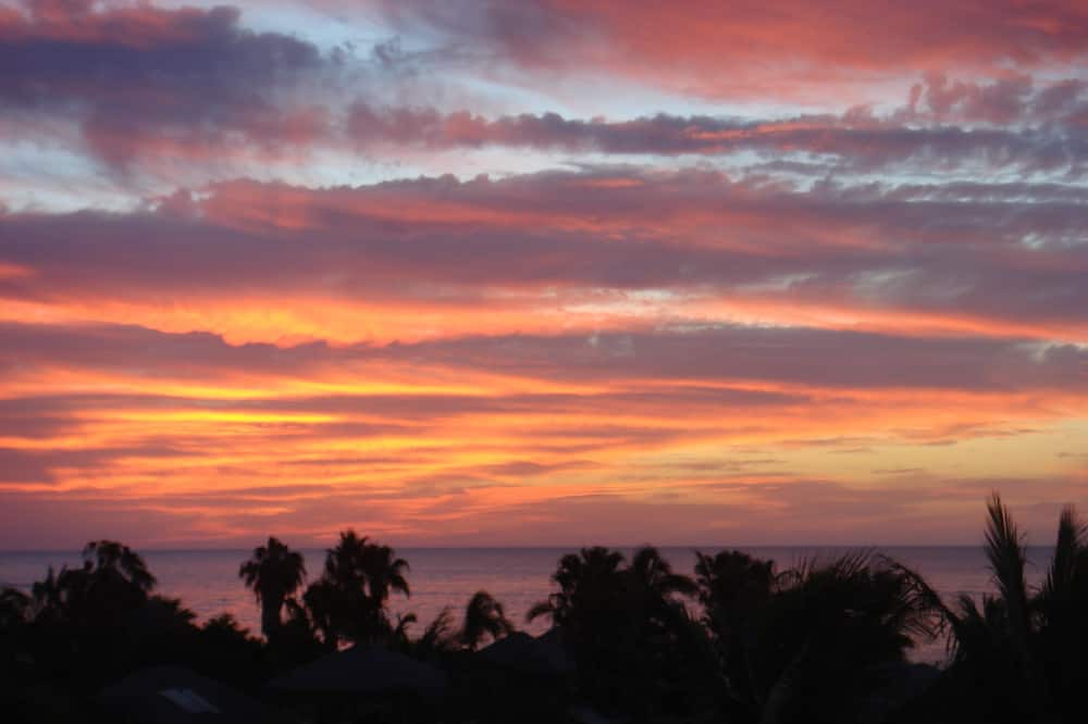 Photo of Others in Cabo Pulmo
