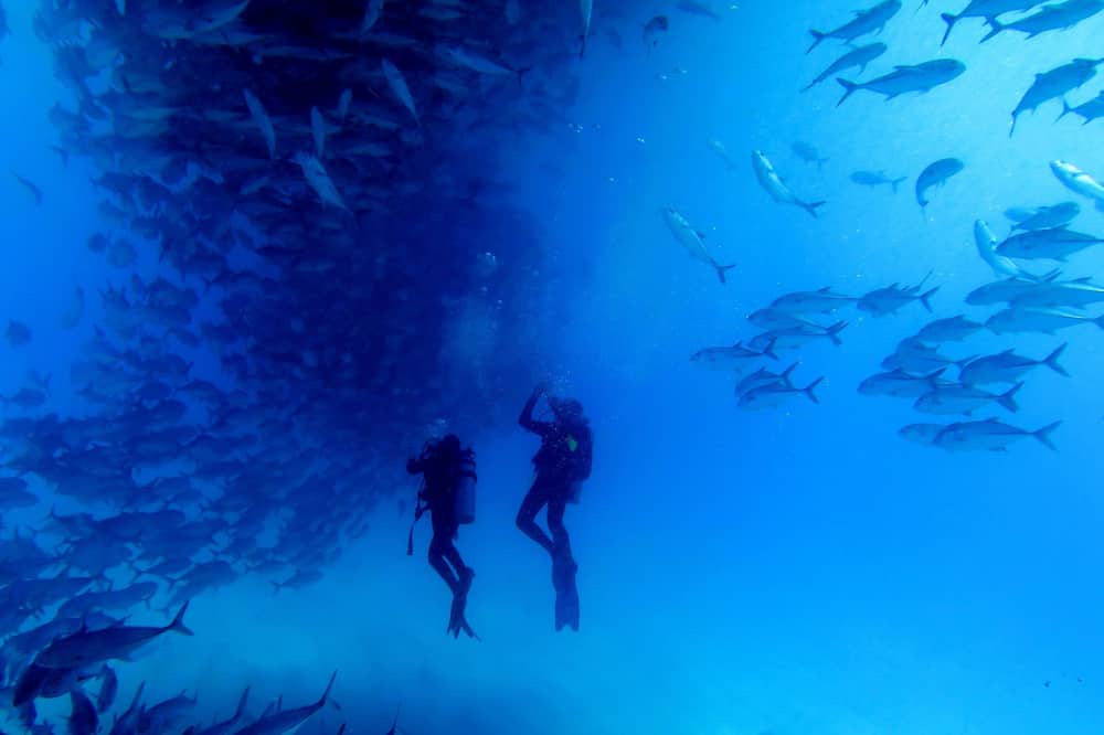 Photo of Outdoor in Cabo Pulmo