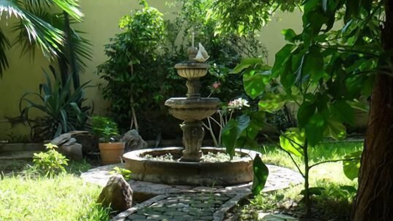 Photo of Outdoor in Guasave