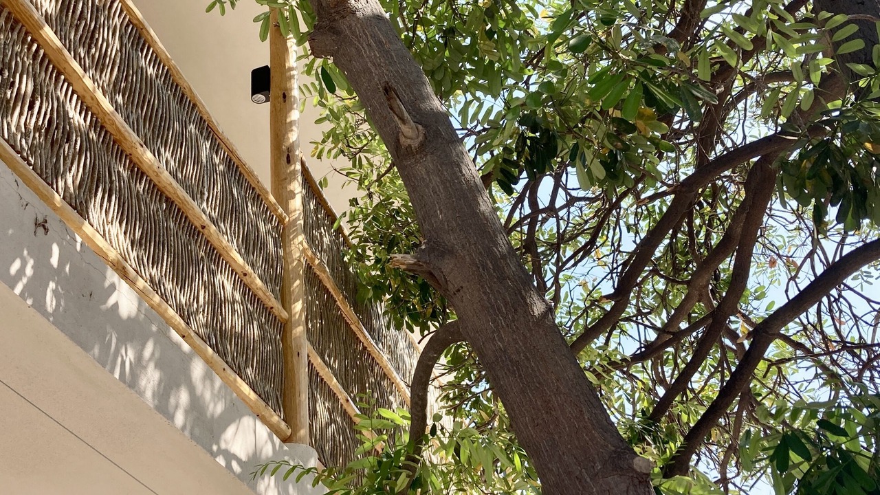 Photo of Outdoor in La Paz
