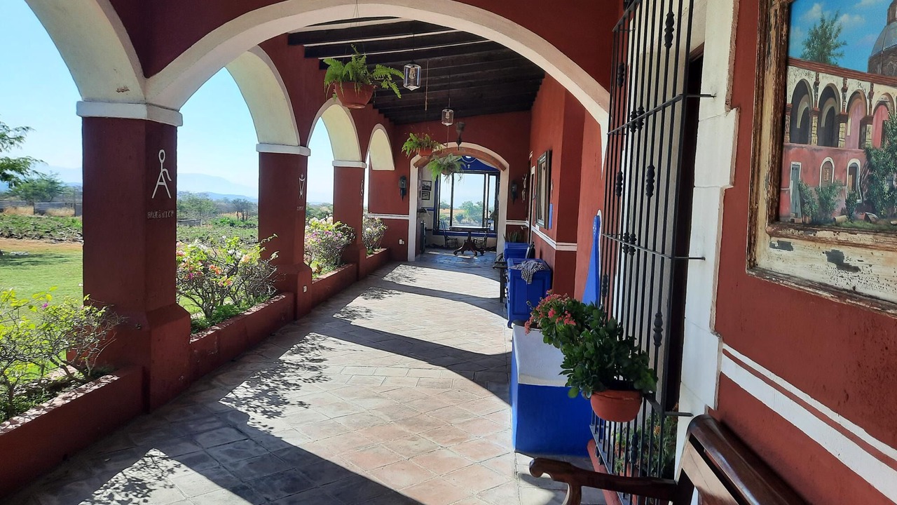 Photo of Outdoor in Tenango