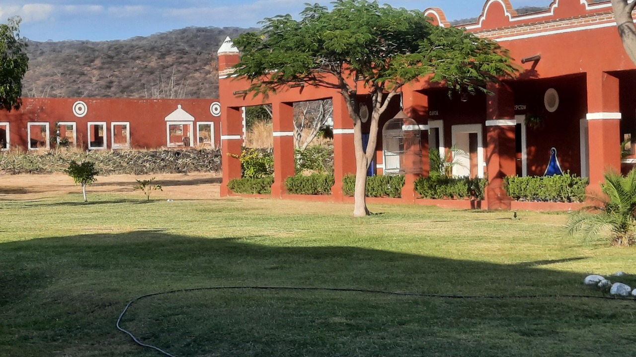 Photo of Outdoor in Tenango
