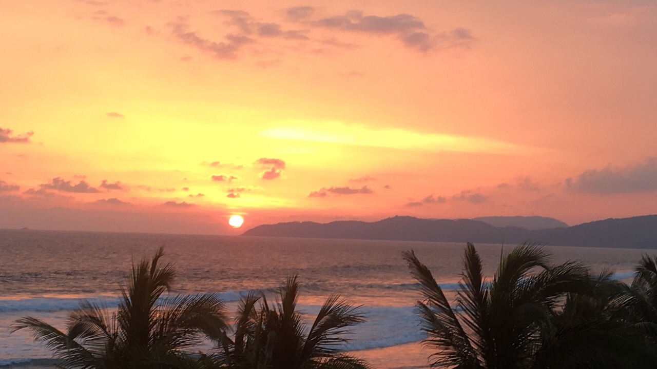 Photo of Others in Ixtapa - Zihuatanejo