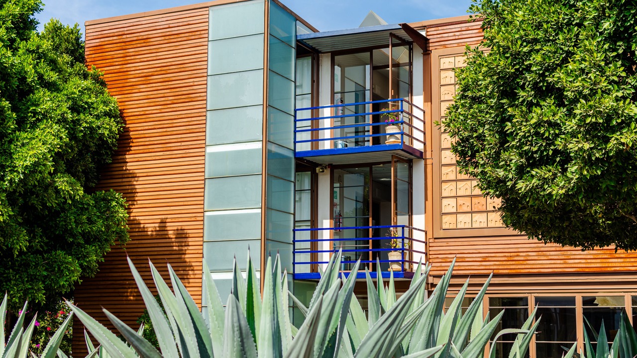 Photo of Outdoor in Colonia San Antonio