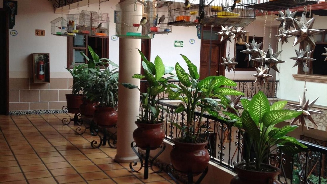 Photo of Patio Balcony in Centro