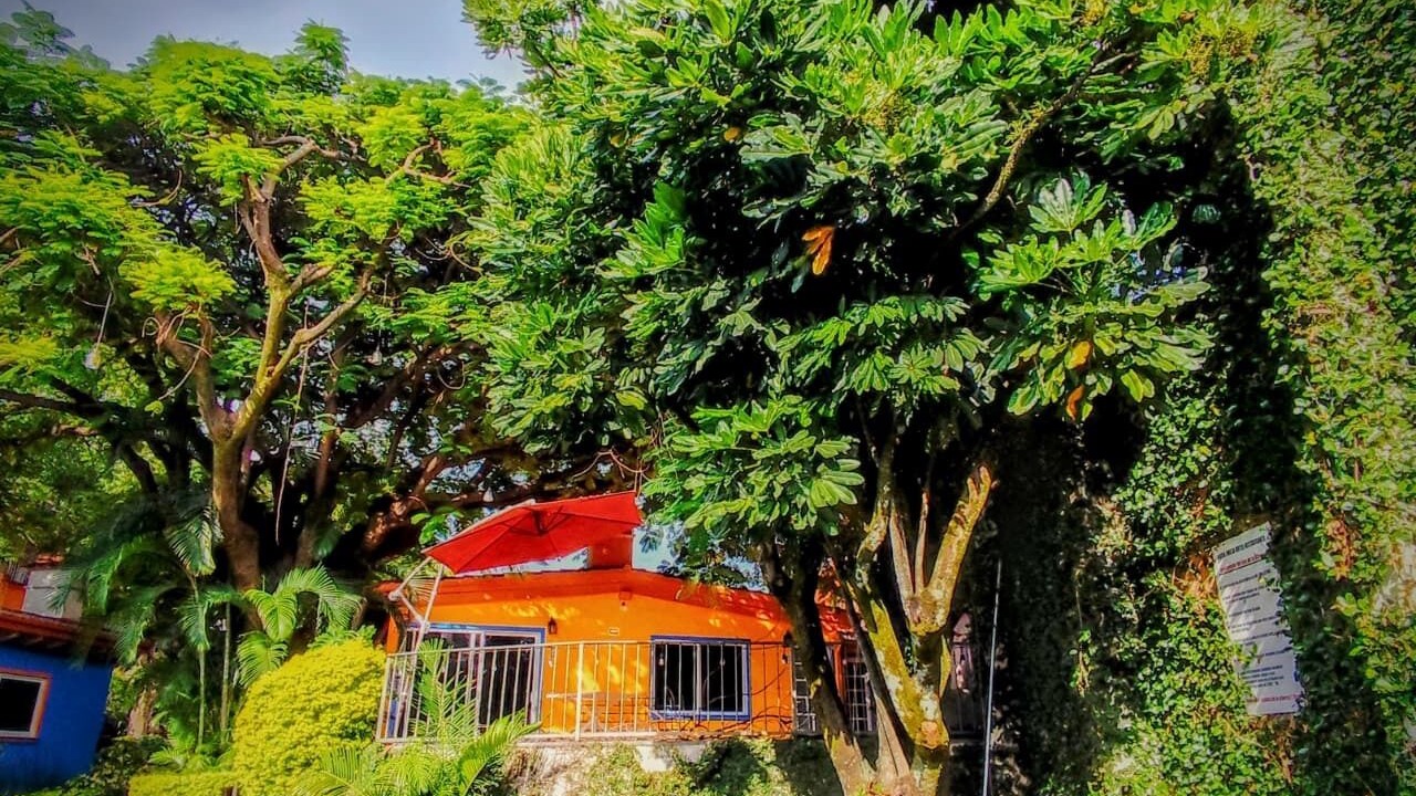 Photo of Outdoor in Central Cuernavaca