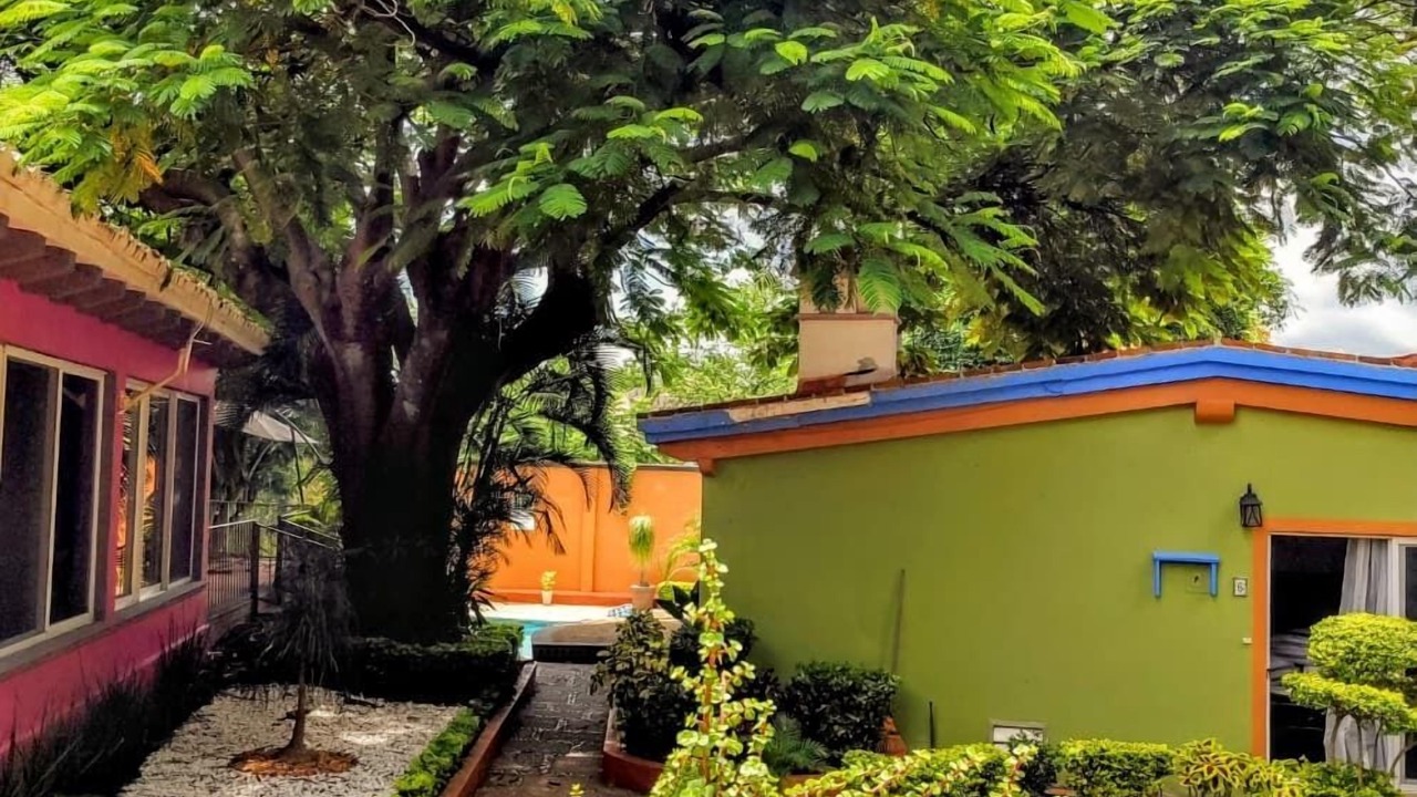 Photo of Outdoor in Central Cuernavaca