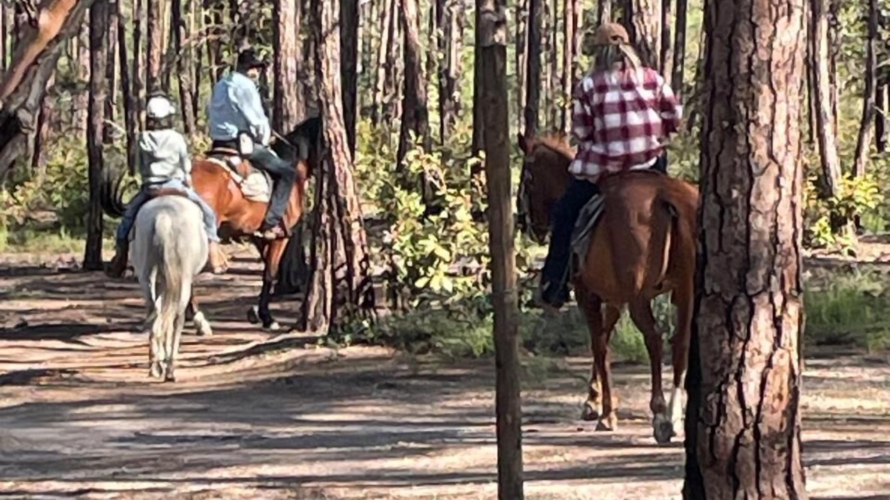 Photo of Outdoor in Creel