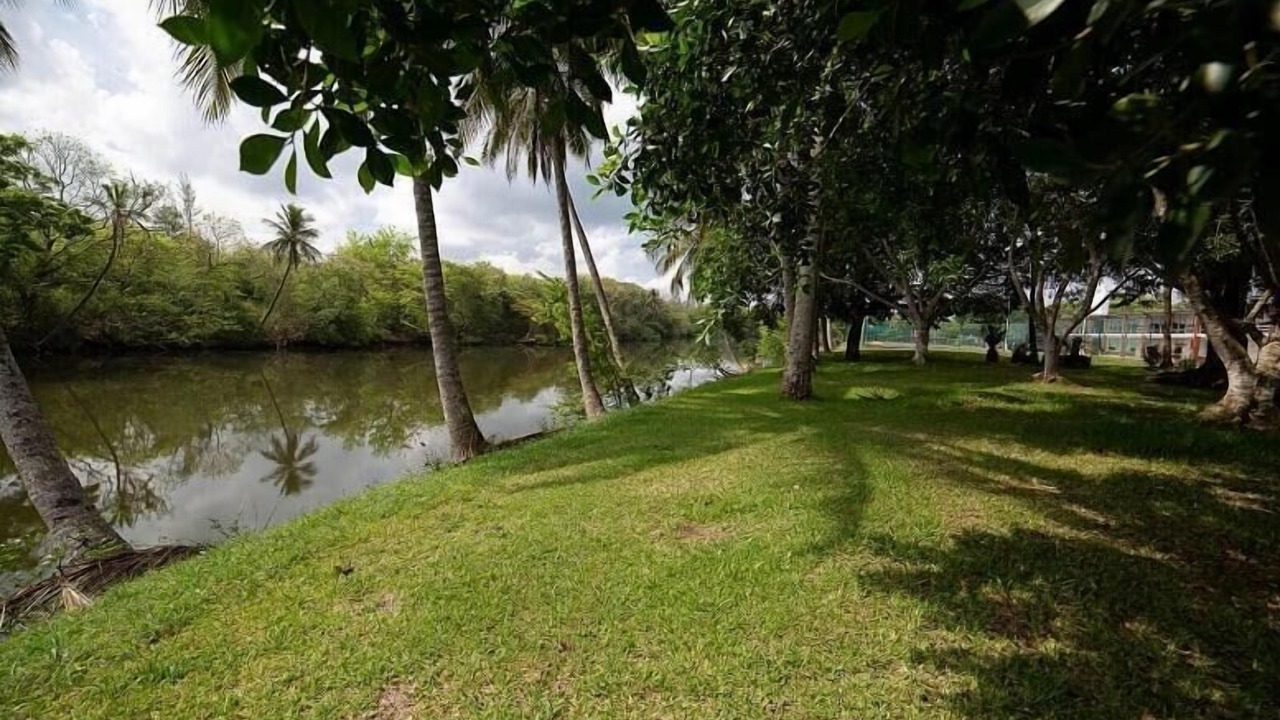 Photo of Others in Tuxpan