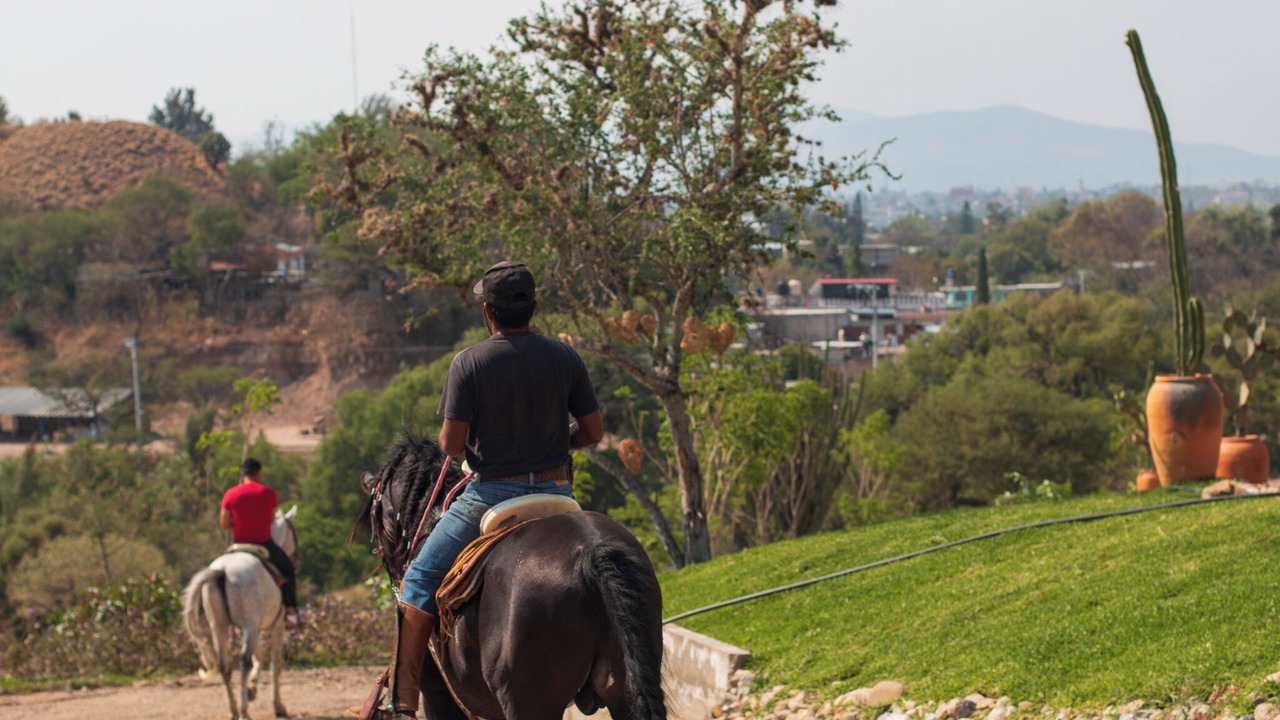 Photo of Outdoor in Miahuatlan de Porfirio Diaz
