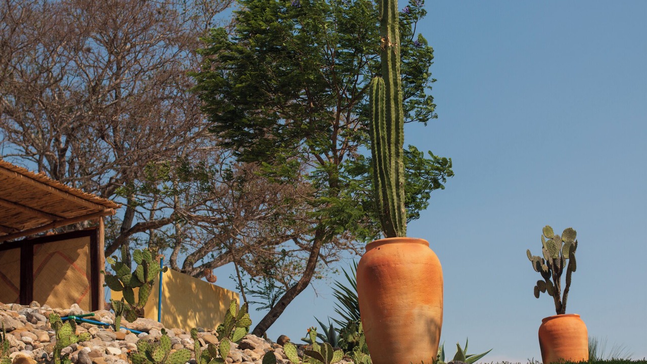 Photo of Outdoor in Miahuatlan de Porfirio Diaz