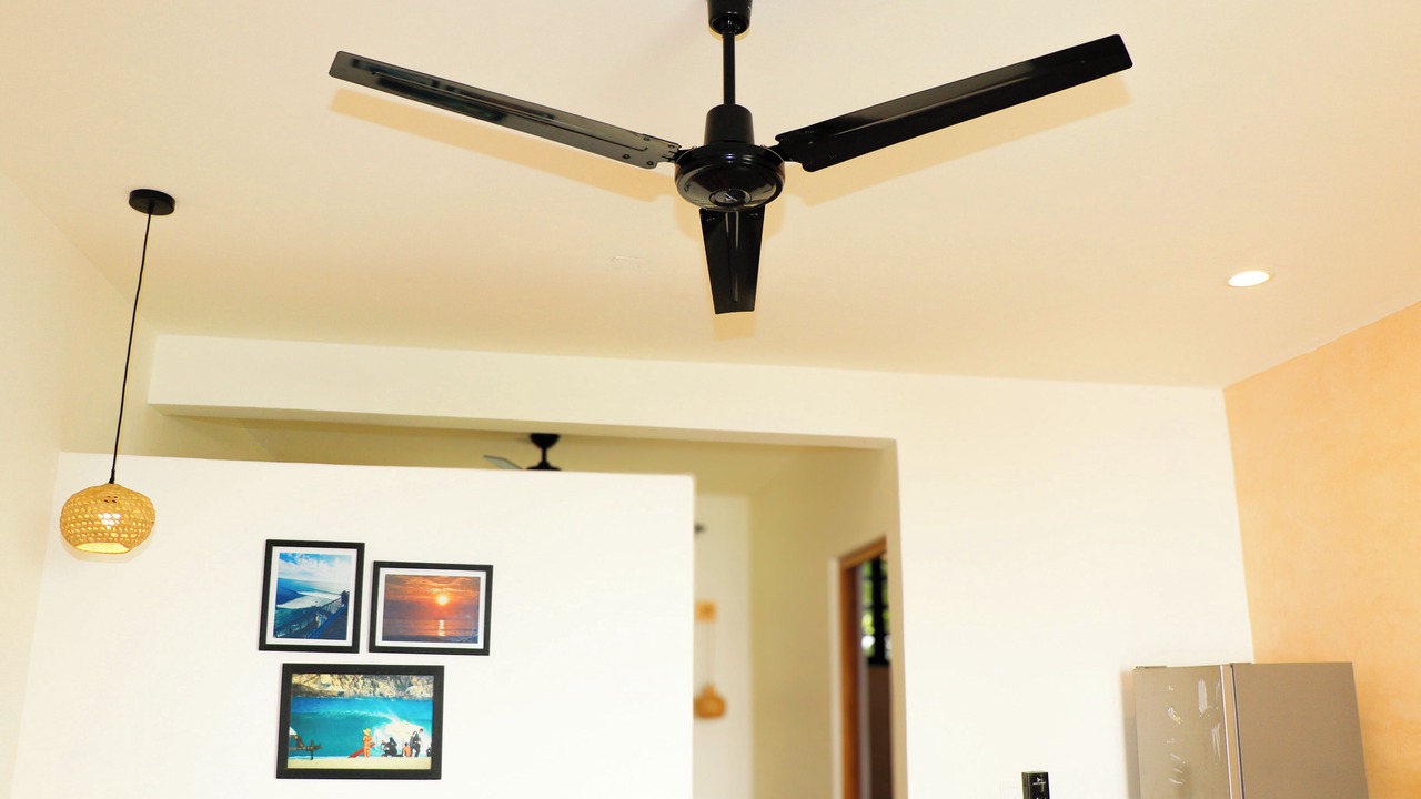 Photo of Livingroom in Hidalgo