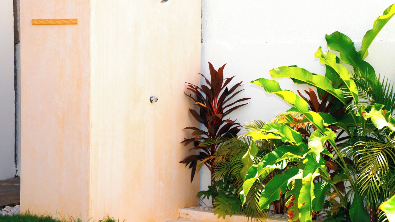 Photo of Outdoor in Hidalgo