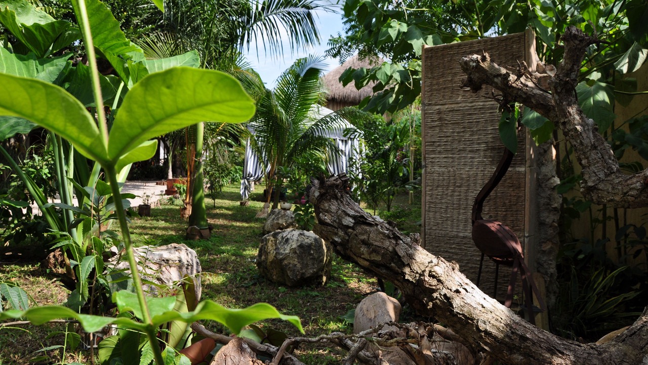 Photo of Outdoor in Chichen Itza - Valladolid