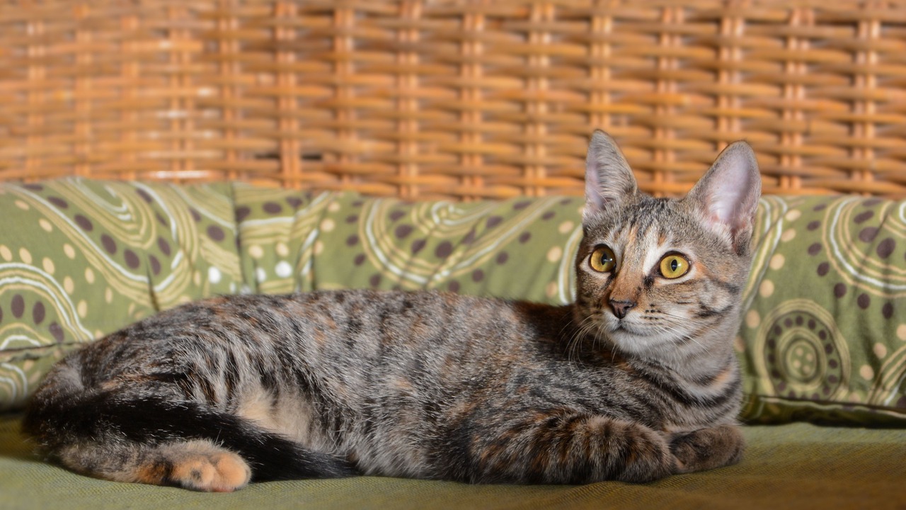 Photo of Others in Chichen Itza - Valladolid