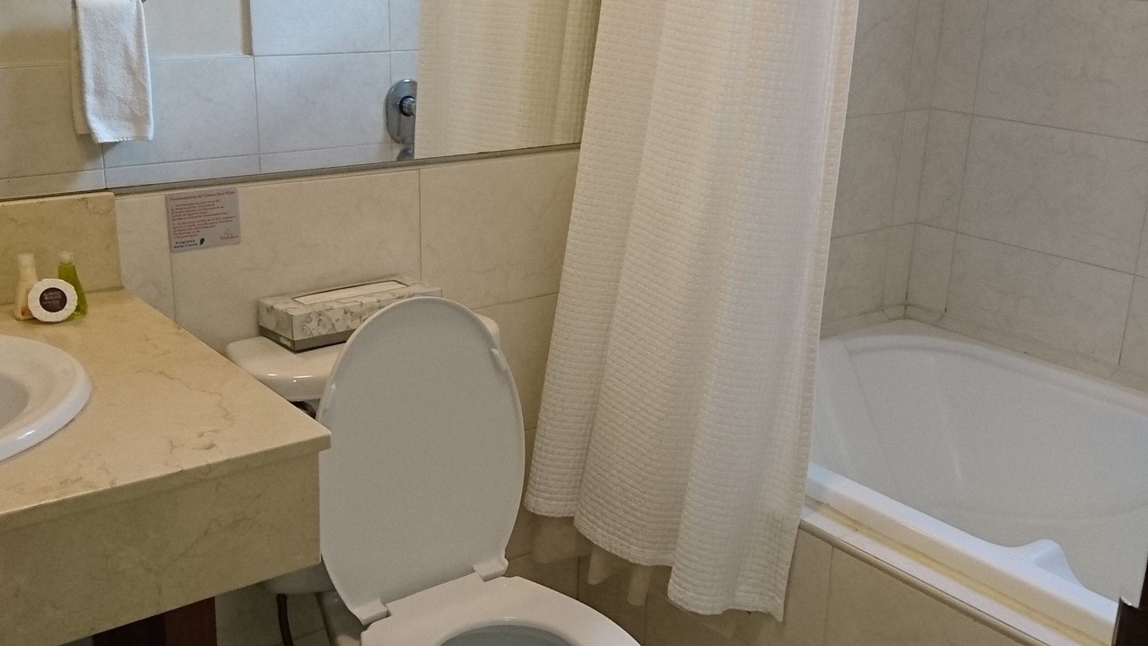 Photo of Bathroom in Chihuahua
