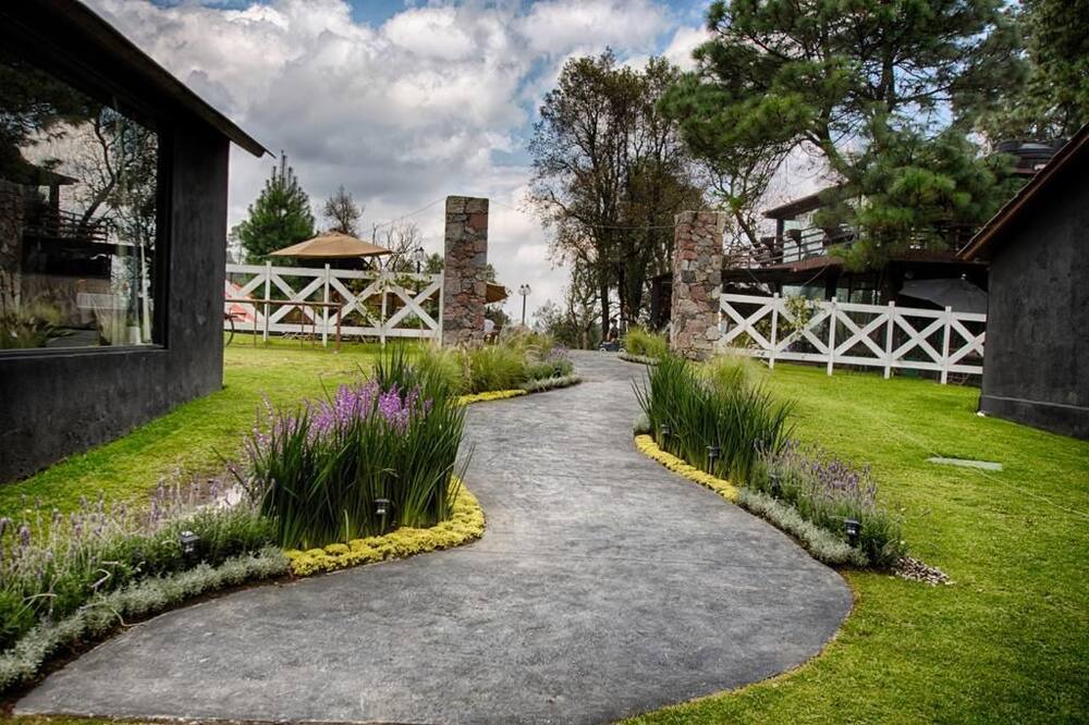 Photo of Outdoor in Magdalena Contreras