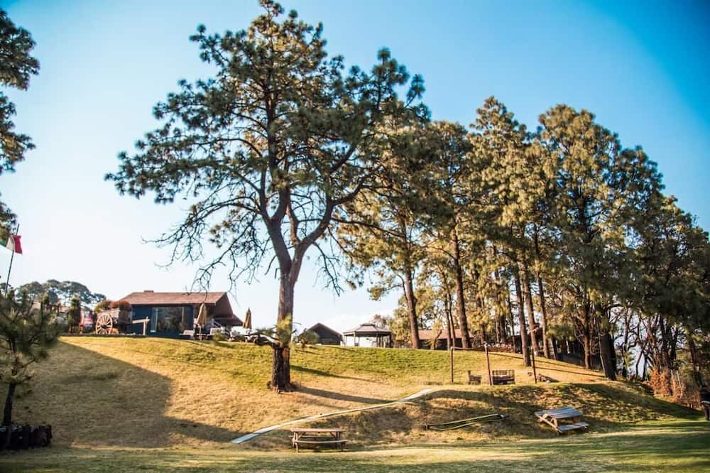 Photo of Outdoor in Magdalena Contreras