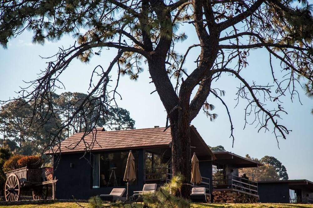 Photo of Outdoor in Magdalena Contreras