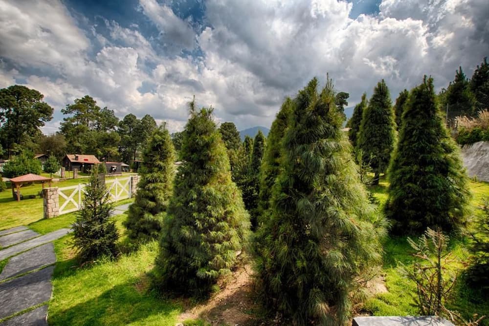 Photo of Outdoor in Magdalena Contreras