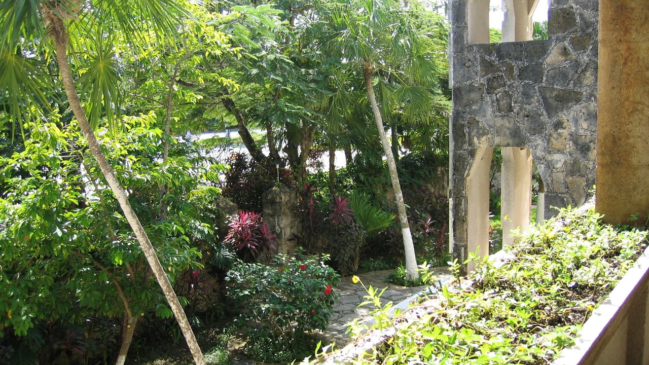 Photo of Others in San Miguel