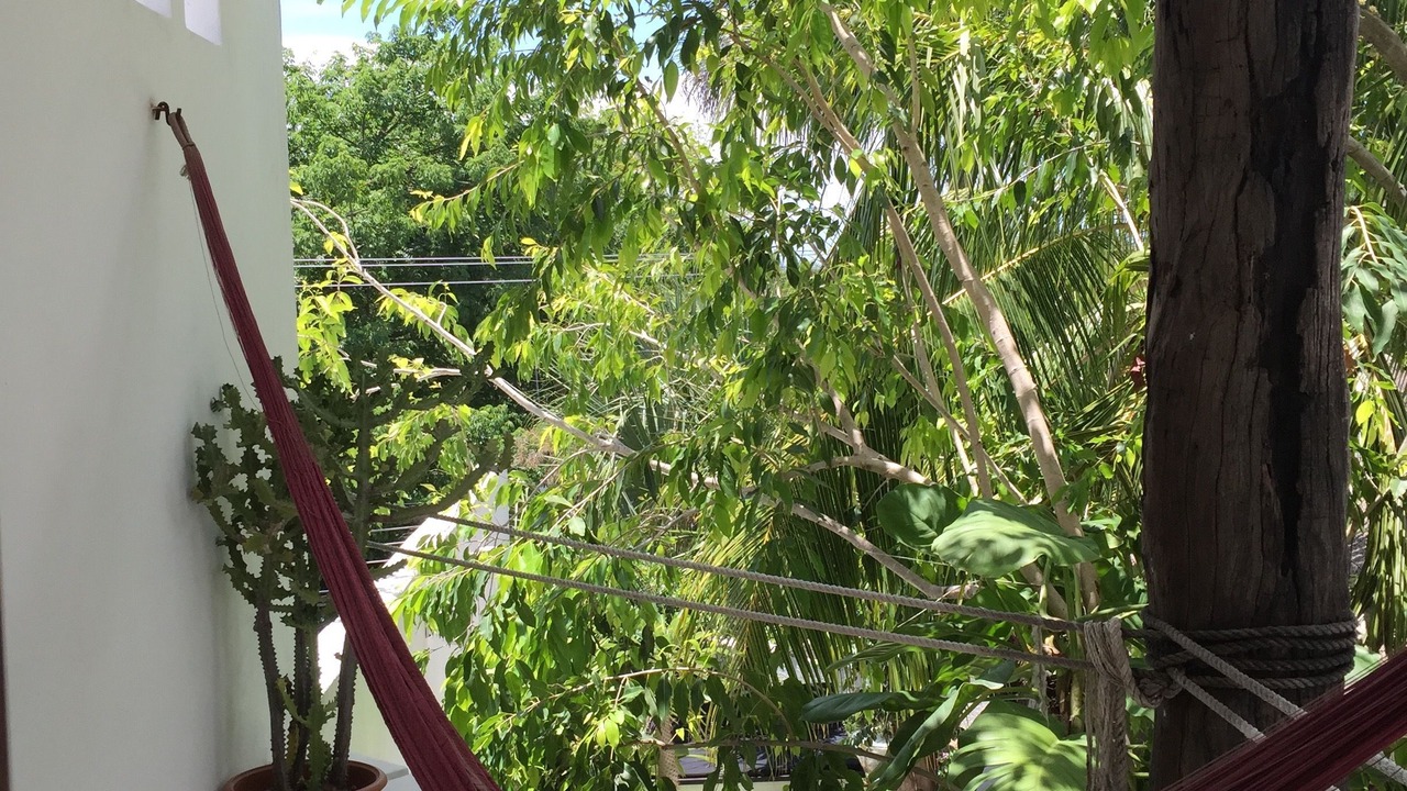 Photo of Bedroom in Colonia Centro