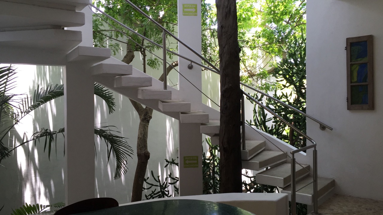 Photo of Others in Colonia Centro