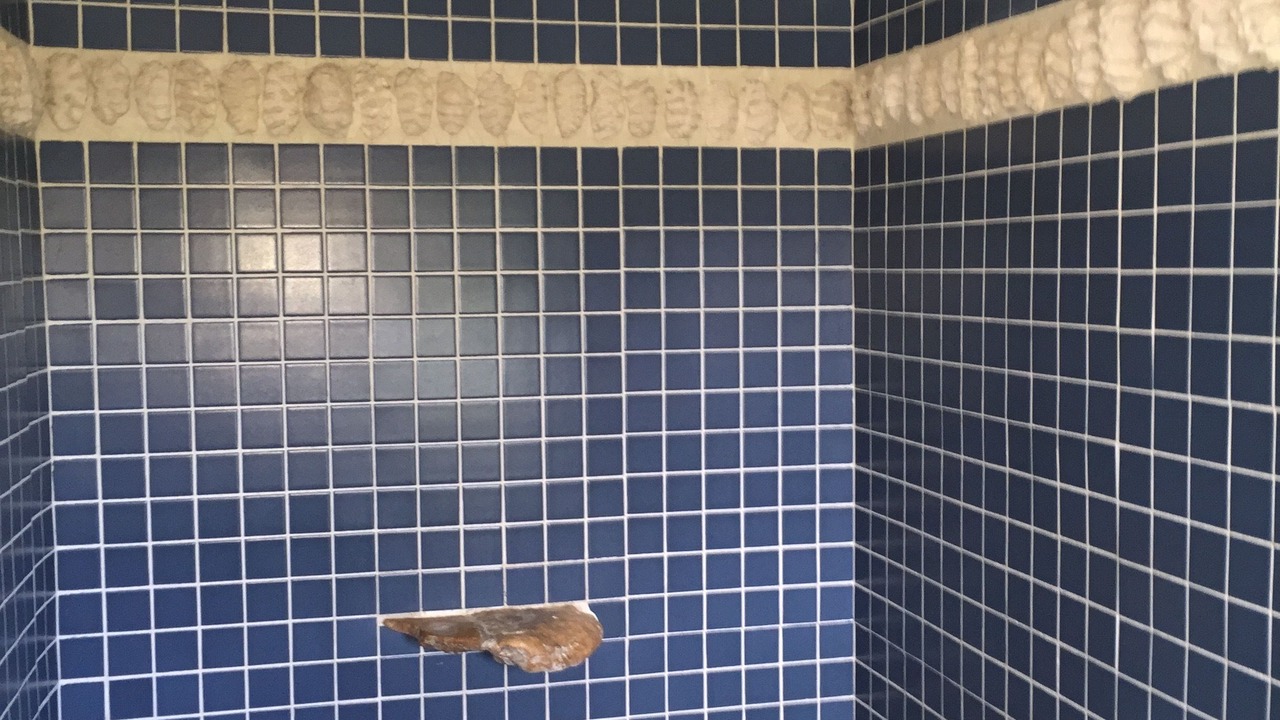 Photo of Bathroom in Colonia Centro