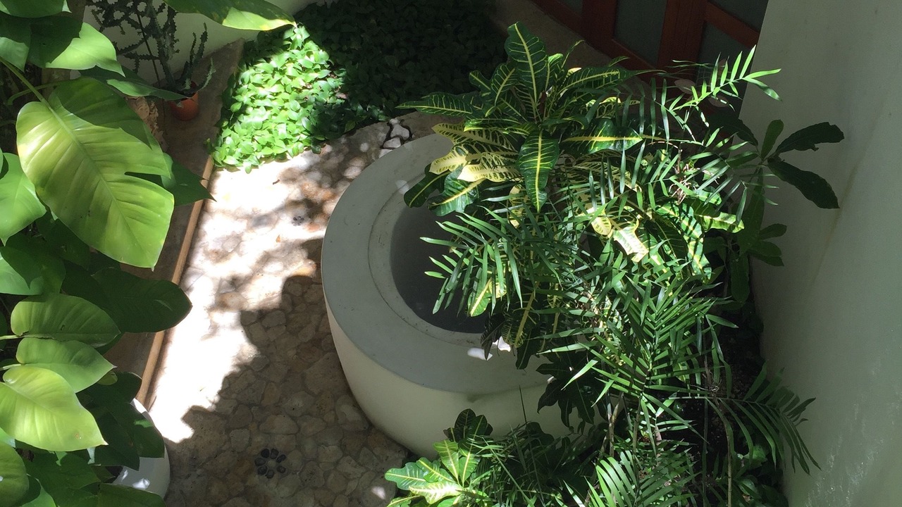 Photo of Outdoor in Colonia Centro