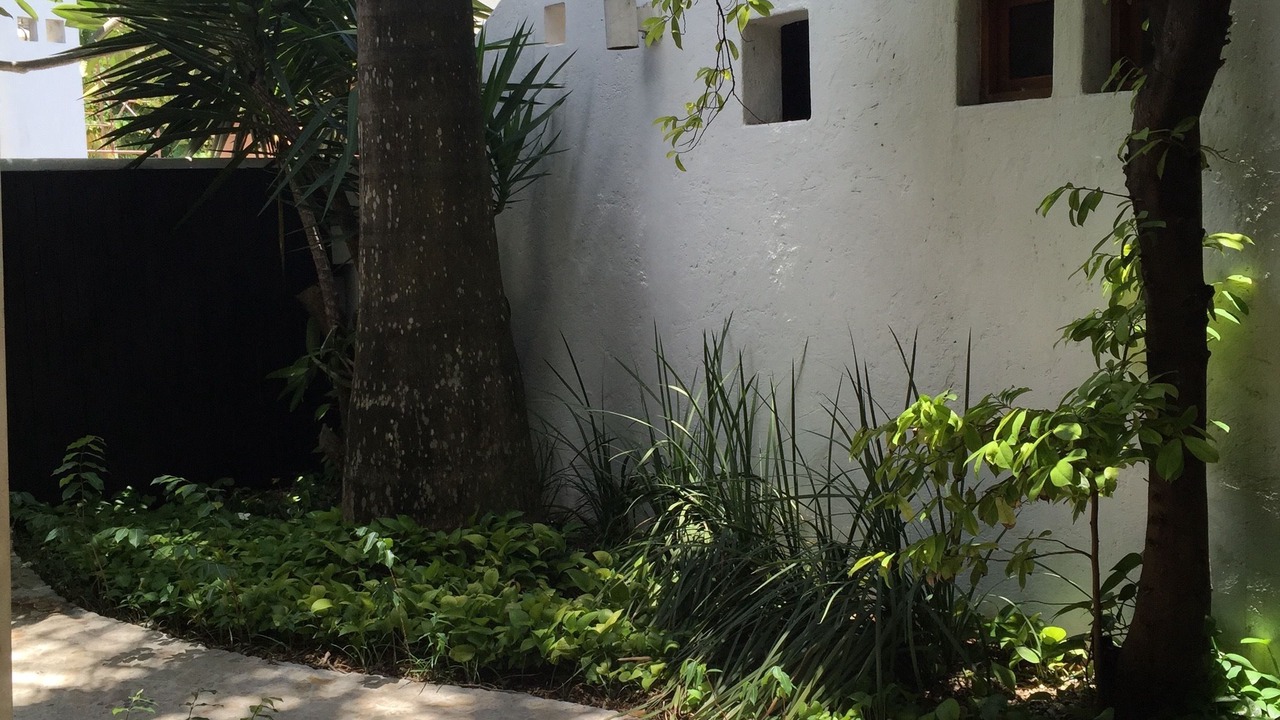 Photo of Others in Colonia Centro